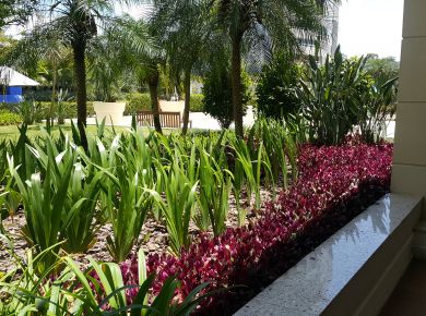 JARDINS SUSPENSOS 
