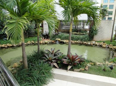 JARDINS SUSPENSOS 