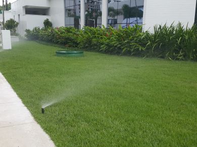 JARDINS SUSPENSOS 