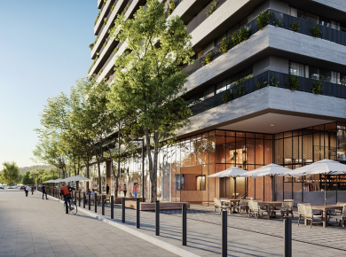 Arborizar para evoluir: A importância estratégica do verde nas estruturas urbanas