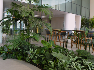 One Tower: Biofilia inteligente e verde funcional